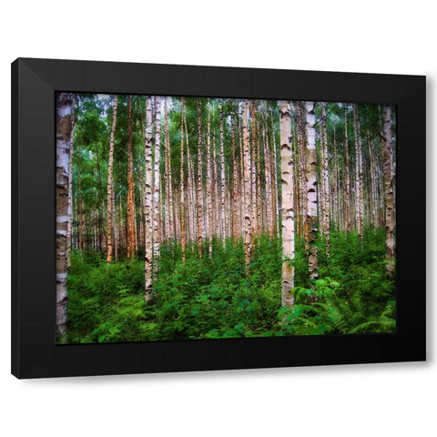 Trees 4 Black Modern Wood Framed Art Print by Lee, Rachel