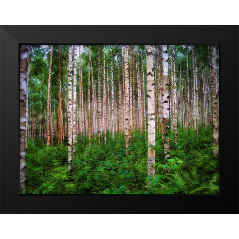 Trees 4 Black Modern Wood Framed Art Print by Lee, Rachel