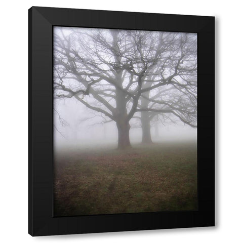 Trees 40 Black Modern Wood Framed Art Print with Double Matting by Lee, Rachel