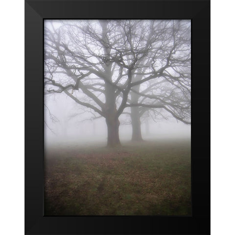 Trees 40 Black Modern Wood Framed Art Print by Lee, Rachel