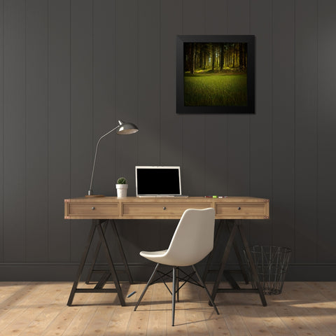 Trees 41 Black Modern Wood Framed Art Print by Lee, Rachel