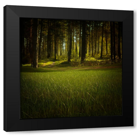 Trees 41 Black Modern Wood Framed Art Print by Lee, Rachel