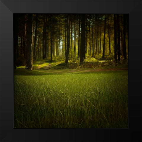 Trees 41 Black Modern Wood Framed Art Print by Lee, Rachel