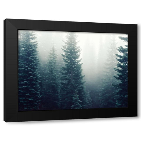Trees 42 Black Modern Wood Framed Art Print by Lee, Rachel