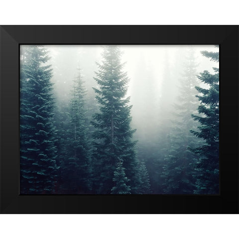 Trees 42 Black Modern Wood Framed Art Print by Lee, Rachel
