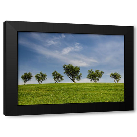 Trees 43 Black Modern Wood Framed Art Print by Lee, Rachel