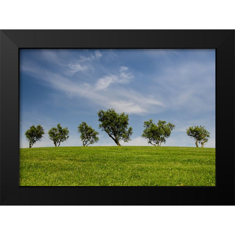 Trees 43 Black Modern Wood Framed Art Print by Lee, Rachel