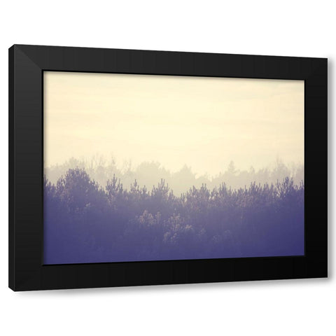 Trees 45 Black Modern Wood Framed Art Print with Double Matting by Lee, Rachel