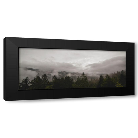 Trees 46 Black Modern Wood Framed Art Print with Double Matting by Lee, Rachel
