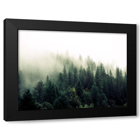 Trees 47 Black Modern Wood Framed Art Print with Double Matting by Lee, Rachel