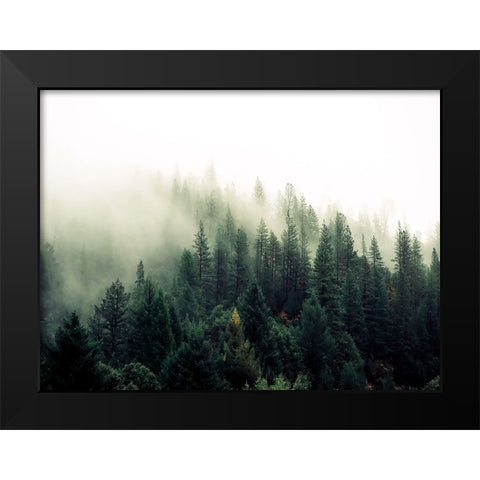 Trees 47 Black Modern Wood Framed Art Print by Lee, Rachel