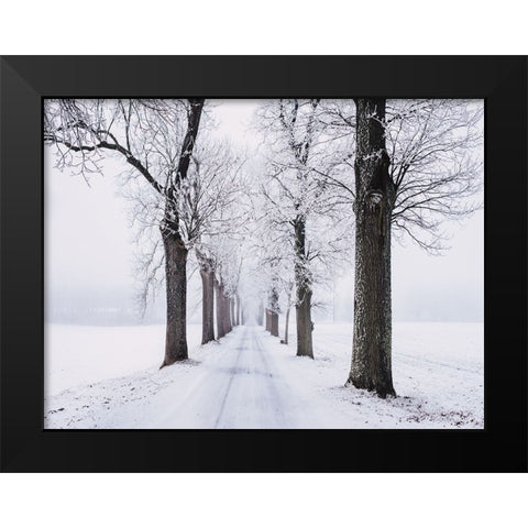 Trees 49 Black Modern Wood Framed Art Print by Lee, Rachel