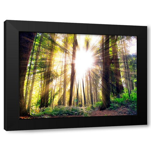 Trees 50 Black Modern Wood Framed Art Print by Lee, Rachel