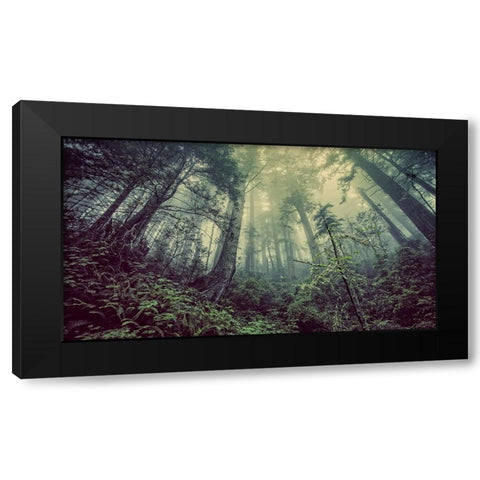 Trees 51 Black Modern Wood Framed Art Print by Lee, Rachel