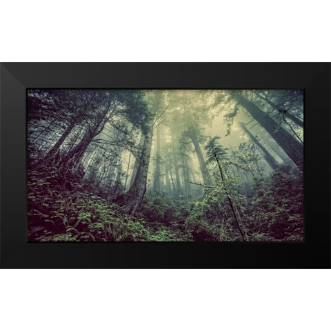 Trees 51 Black Modern Wood Framed Art Print by Lee, Rachel