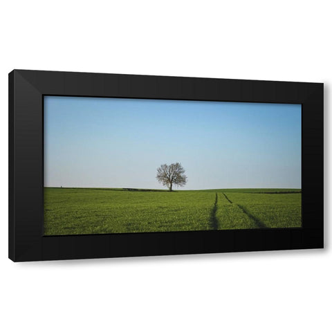 Trees 52 Black Modern Wood Framed Art Print by Lee, Rachel