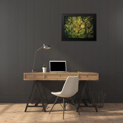Trees 53 Painted Black Modern Wood Framed Art Print by Lee, Rachel