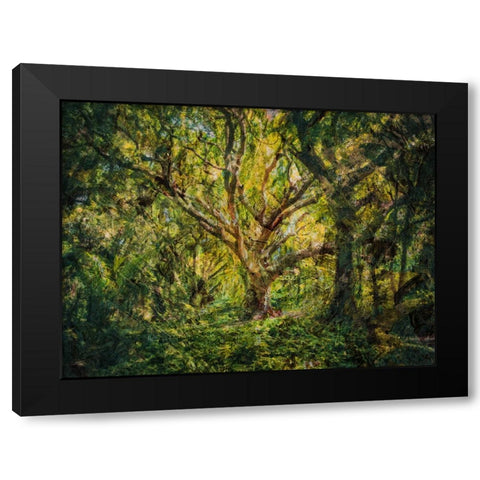 Trees 53 Painted Black Modern Wood Framed Art Print with Double Matting by Lee, Rachel