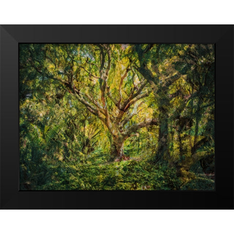 Trees 53 Painted Black Modern Wood Framed Art Print by Lee, Rachel