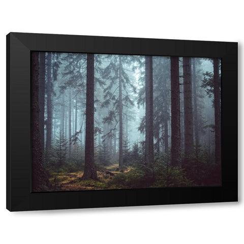 Trees 55 Black Modern Wood Framed Art Print with Double Matting by Lee, Rachel