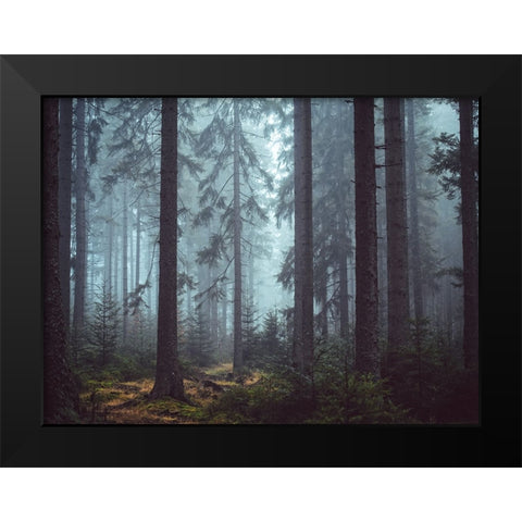 Trees 55 Black Modern Wood Framed Art Print by Lee, Rachel