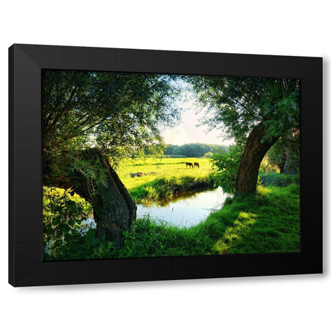 Trees 58 Black Modern Wood Framed Art Print by Lee, Rachel