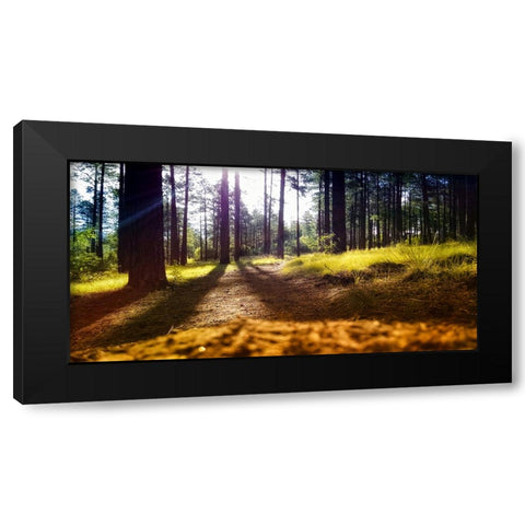 Trees 59 Black Modern Wood Framed Art Print by Lee, Rachel