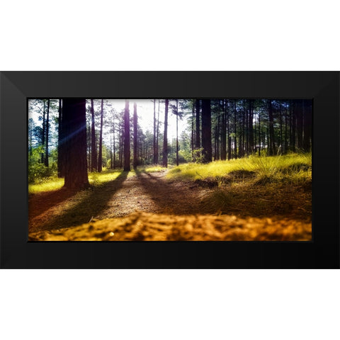Trees 59 Black Modern Wood Framed Art Print by Lee, Rachel