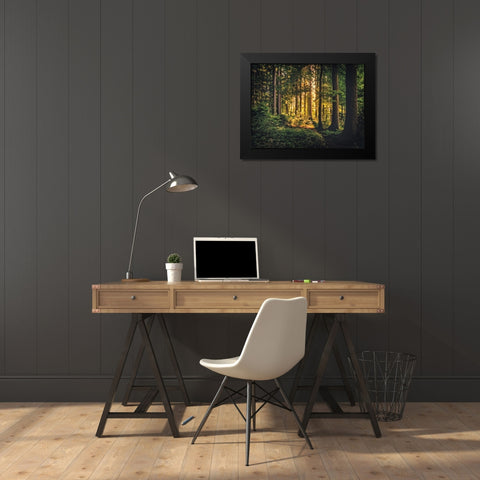 Trees 61 Black Modern Wood Framed Art Print by Lee, Rachel