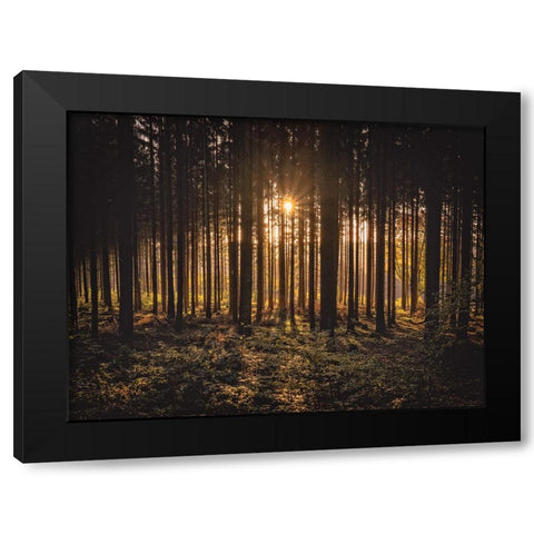 Trees 63 Black Modern Wood Framed Art Print with Double Matting by Lee, Rachel