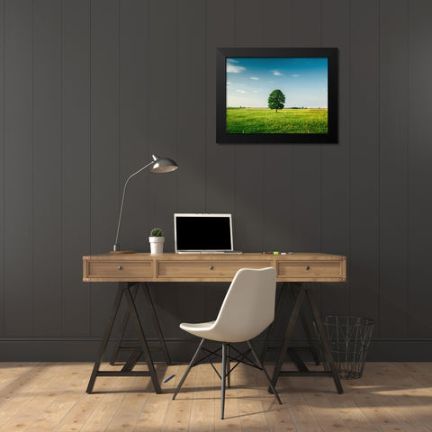 Trees 67 Black Modern Wood Framed Art Print by Lee, Rachel