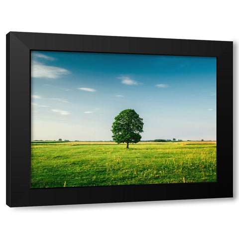 Trees 67 Black Modern Wood Framed Art Print with Double Matting by Lee, Rachel