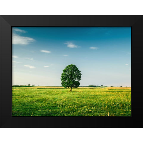 Trees 67 Black Modern Wood Framed Art Print by Lee, Rachel