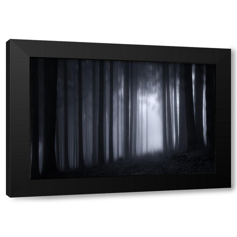Trees 7 Black Modern Wood Framed Art Print with Double Matting by Lee, Rachel