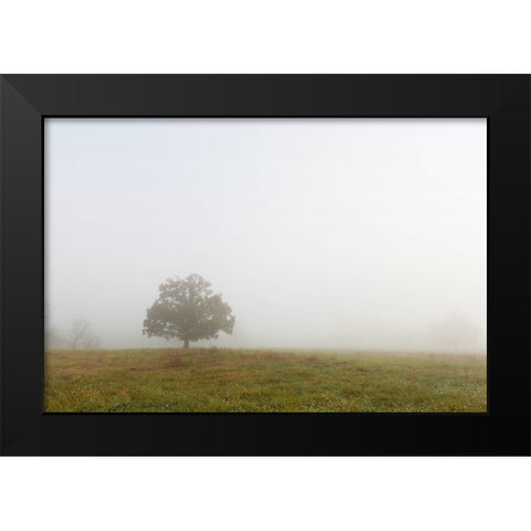 Trees 8 Black Modern Wood Framed Art Print by Lee, Rachel