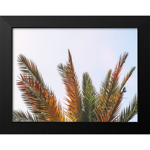 Trees 82 Black Modern Wood Framed Art Print by Lee, Rachel