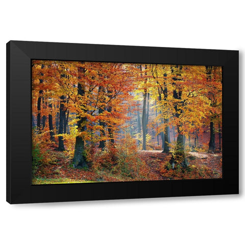 Trees 9 Black Modern Wood Framed Art Print with Double Matting by Lee, Rachel