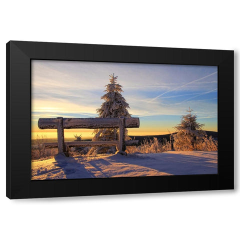 Trees And Bench 1 Black Modern Wood Framed Art Print with Double Matting by Lee, Rachel