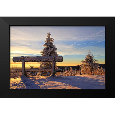 Trees And Bench 1 Black Modern Wood Framed Art Print by Lee, Rachel