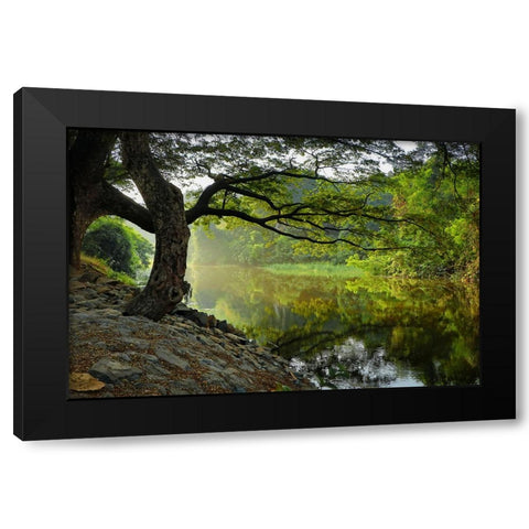 Trees And Water 1 Black Modern Wood Framed Art Print by Lee, Rachel