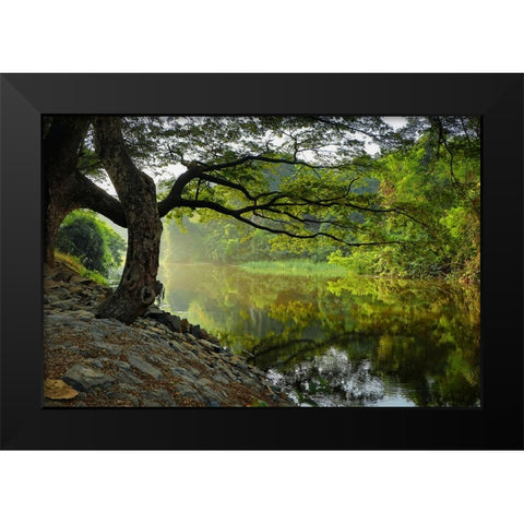 Trees And Water 1 Black Modern Wood Framed Art Print by Lee, Rachel