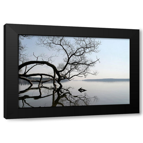 Trees and Water 7 Black Modern Wood Framed Art Print with Double Matting by Lee, Rachel