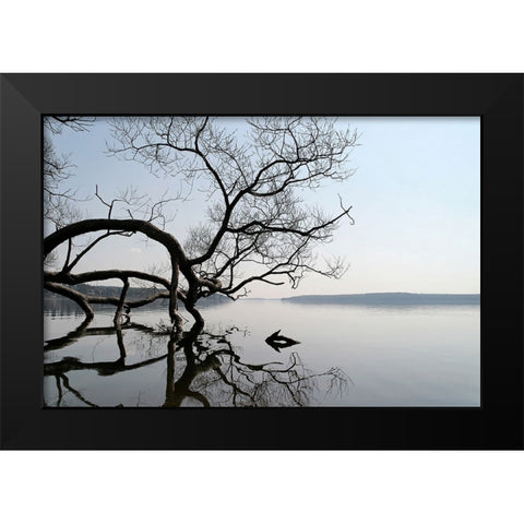 Trees and Water 7 Black Modern Wood Framed Art Print by Lee, Rachel