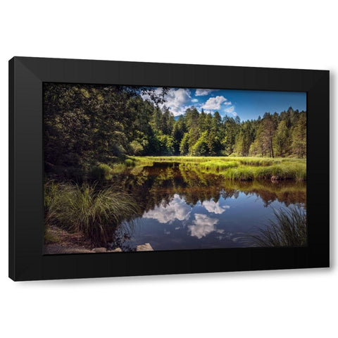 Trees And Water 8 Black Modern Wood Framed Art Print by Lee, Rachel