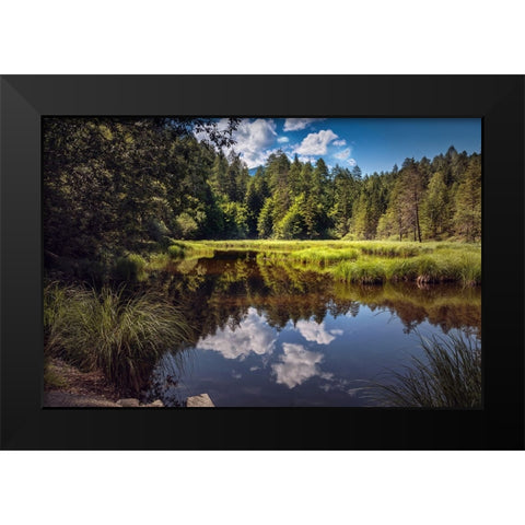 Trees And Water 8 Black Modern Wood Framed Art Print by Lee, Rachel