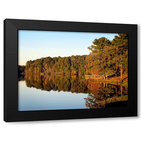 Trees And Water 9 Black Modern Wood Framed Art Print with Double Matting by Lee, Rachel