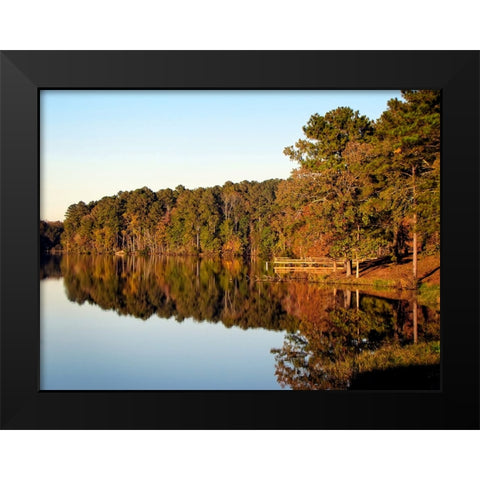 Trees And Water 9 Black Modern Wood Framed Art Print by Lee, Rachel