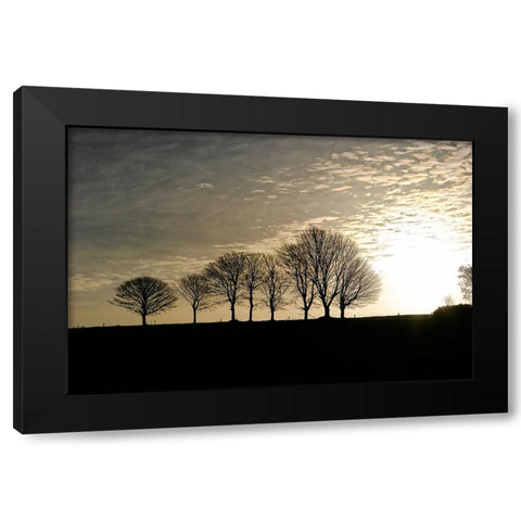 Trees Evening Black Modern Wood Framed Art Print by Lee, Rachel