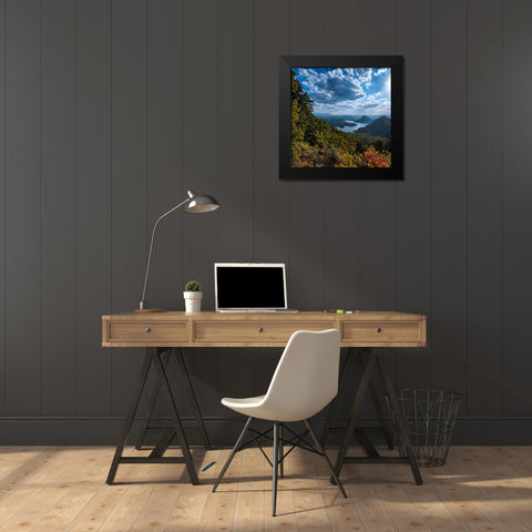 View to Big Frog Black Modern Wood Framed Art Print by Lee, Rachel