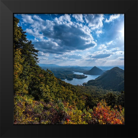 View to Big Frog Black Modern Wood Framed Art Print by Lee, Rachel